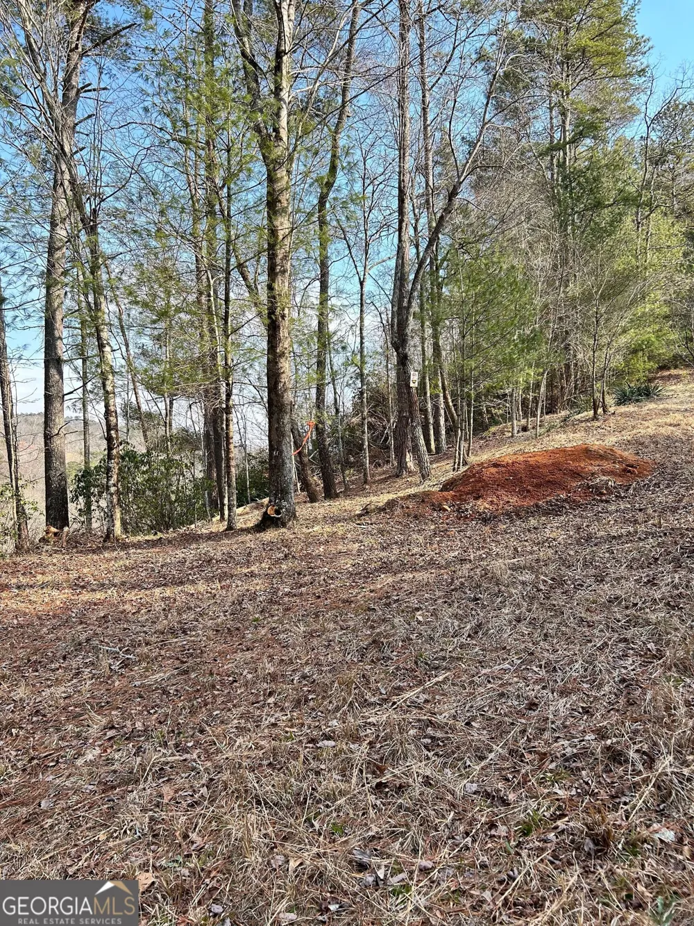 436 Meadow LN Talking Rock, GA 30175