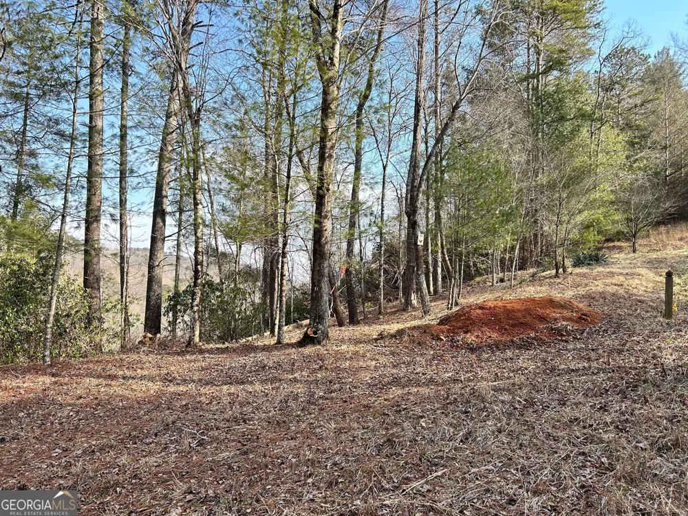 436 Meadow LN Talking Rock, GA 30175