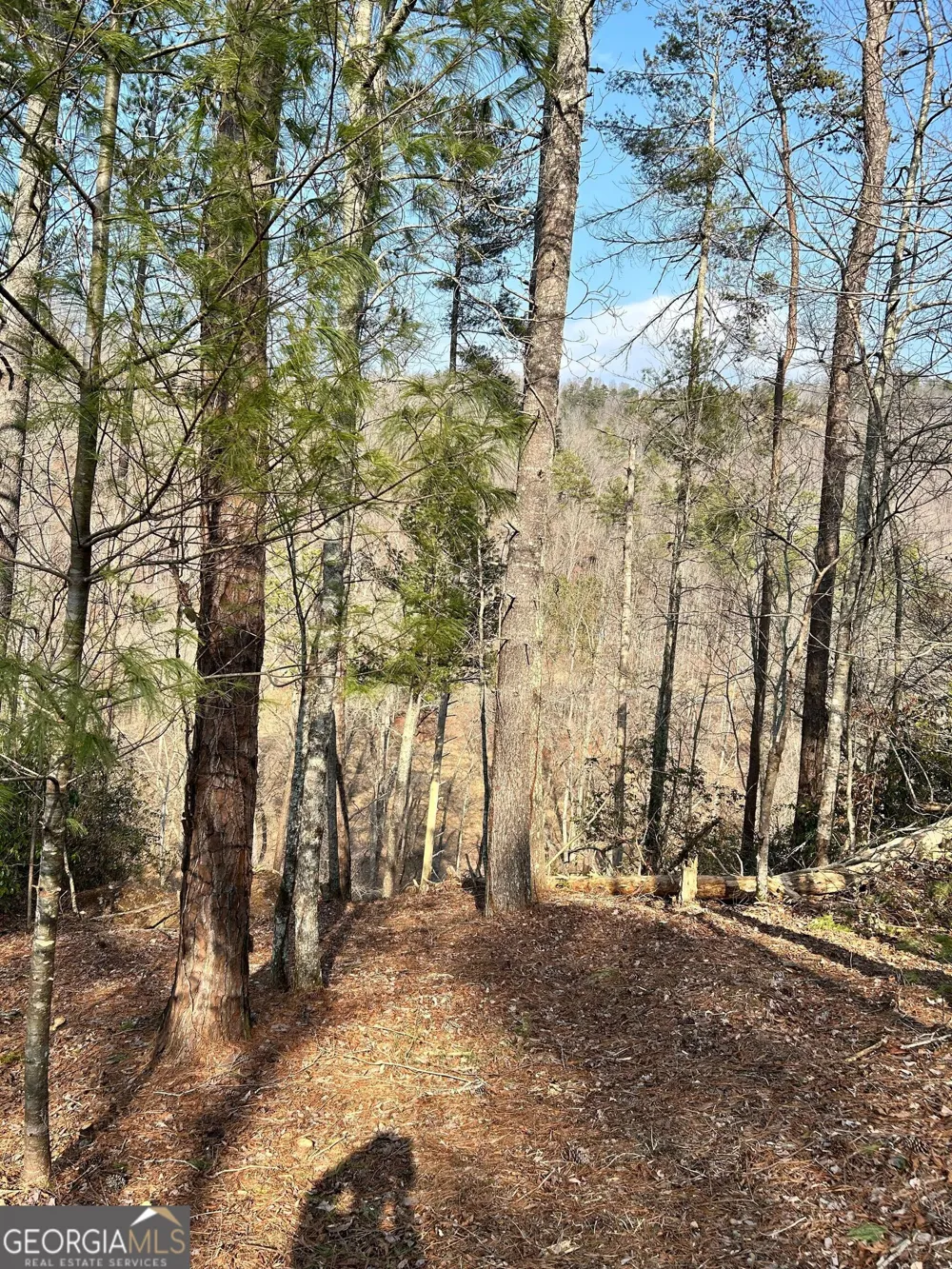 436 Meadow LN Talking Rock, GA 30175