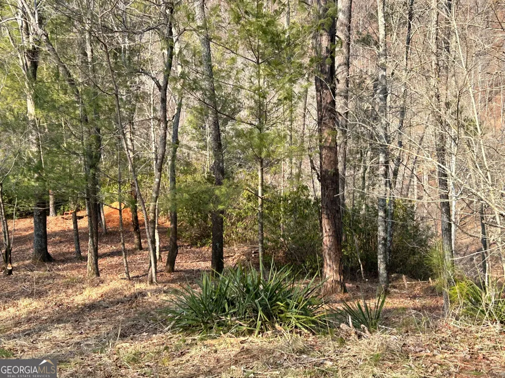 436 Meadow LN Talking Rock, GA 30175