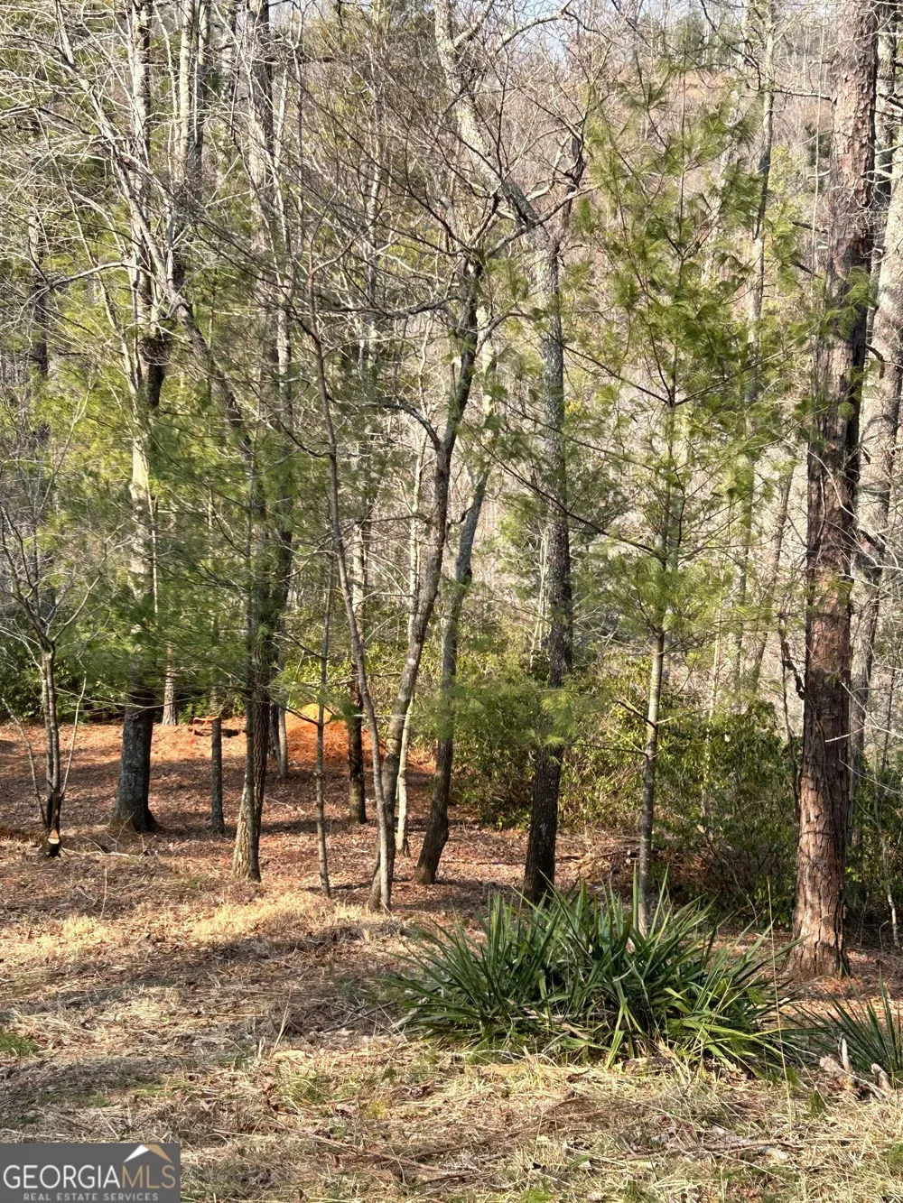 436 Meadow LN Talking Rock, GA 30175