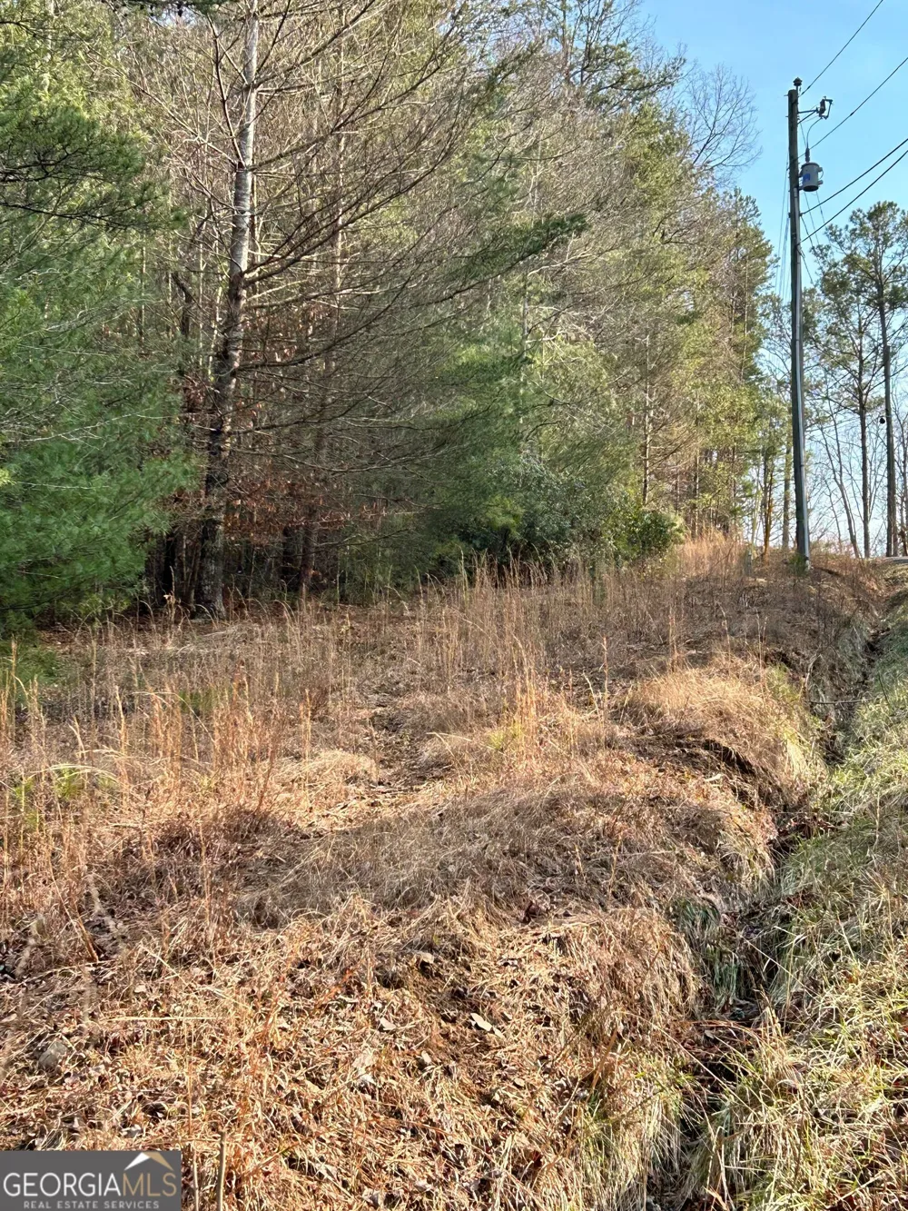 436 Meadow LN Talking Rock, GA 30175