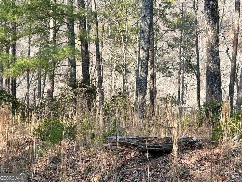 436 Meadow LN Talking Rock, GA 30175