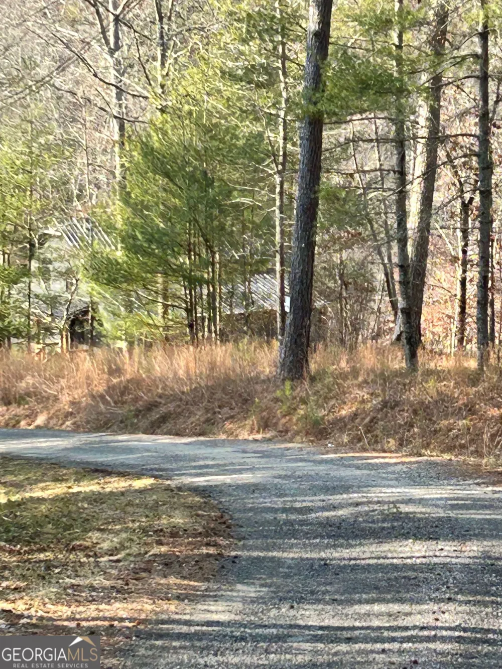 436 Meadow LN Talking Rock, GA 30175
