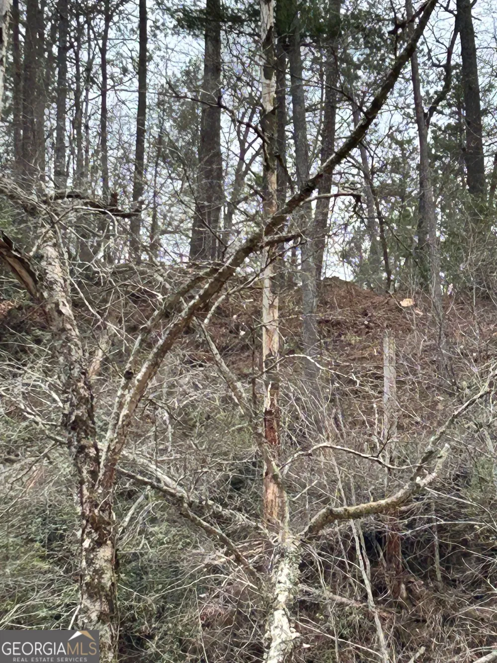 436 Meadow LN Talking Rock, GA 30175
