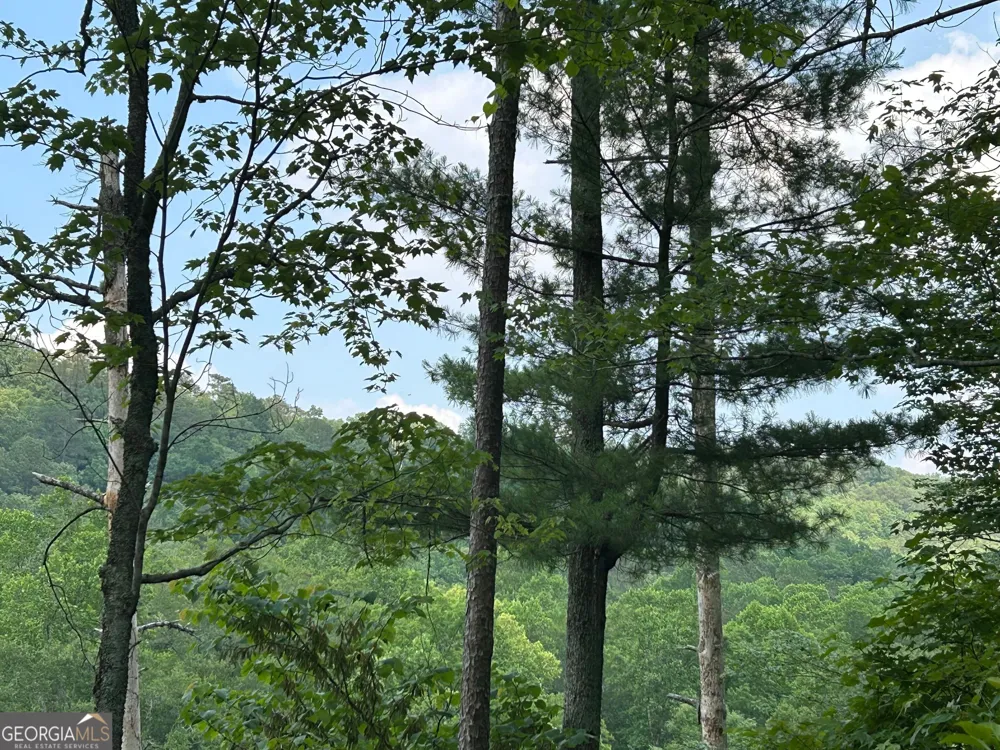 436 Meadow LN Talking Rock, GA 30175