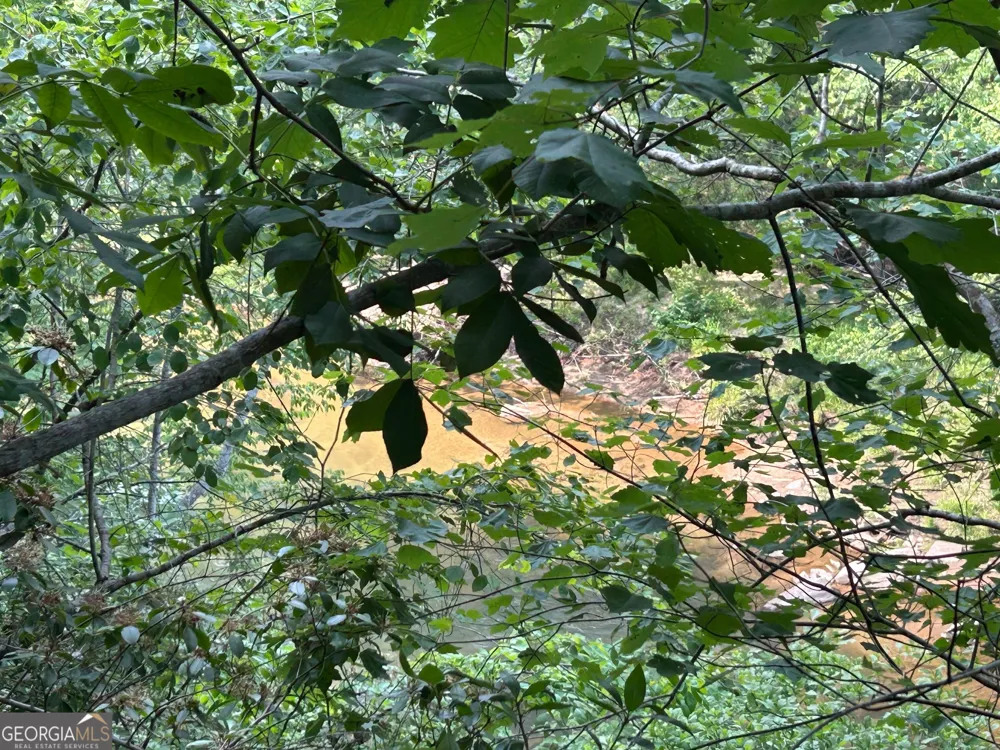 436 Meadow LN Talking Rock, GA 30175