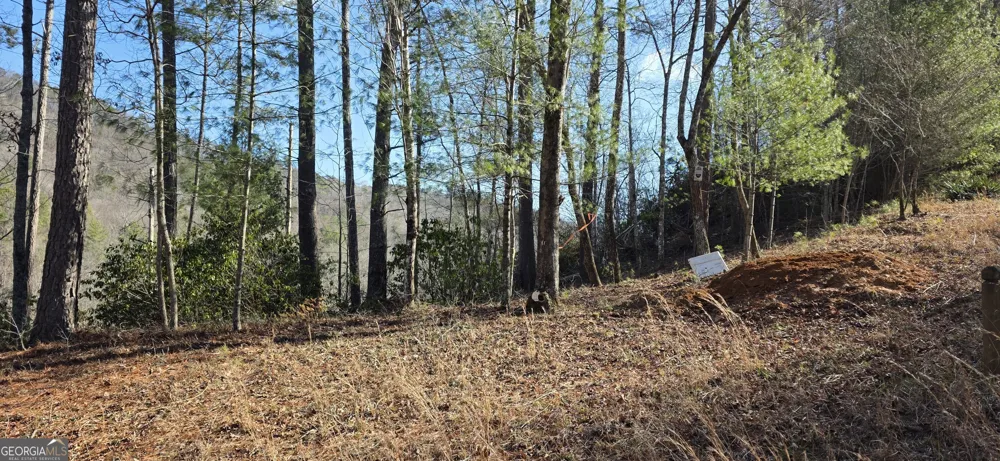 436 Meadow LN Talking Rock, GA 30175