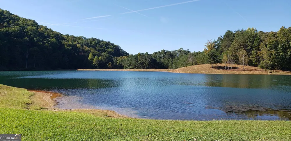 436 Meadow LN Talking Rock, GA 30175