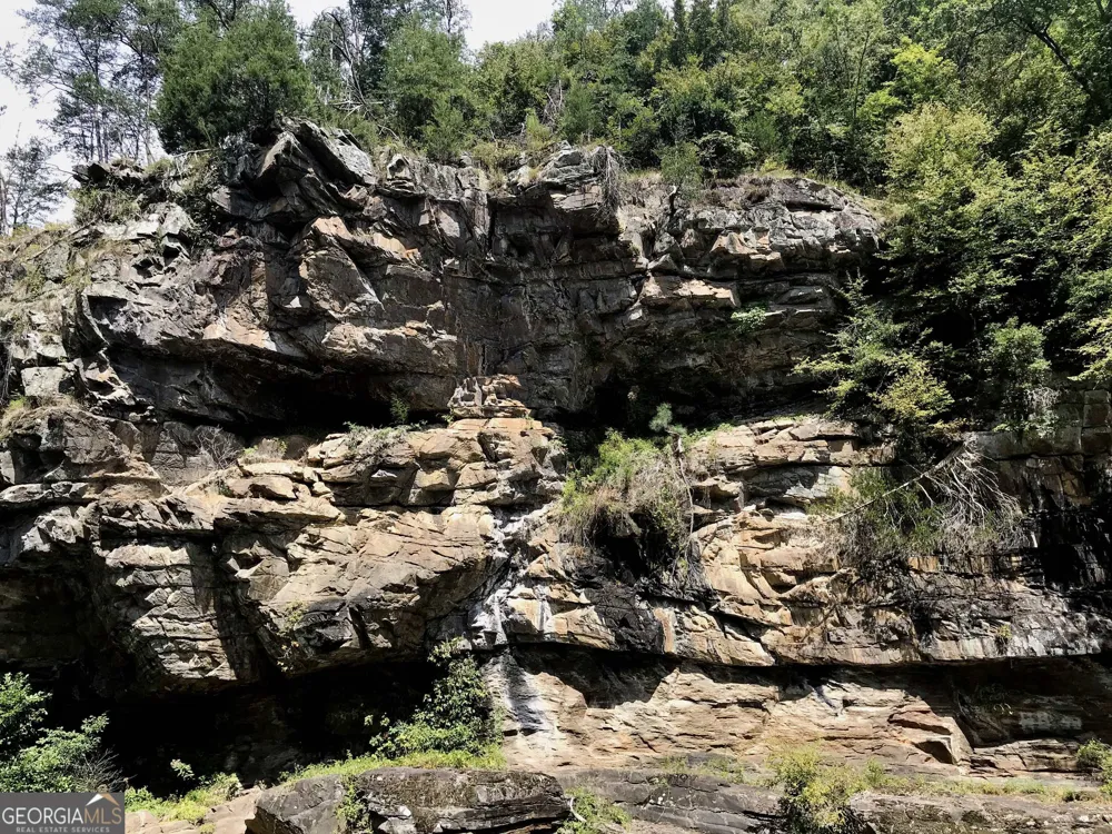 436 Meadow LN Talking Rock, GA 30175
