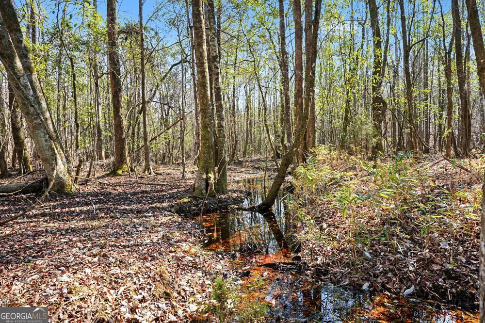 0 Vineyard RD Thomaston, GA 30286