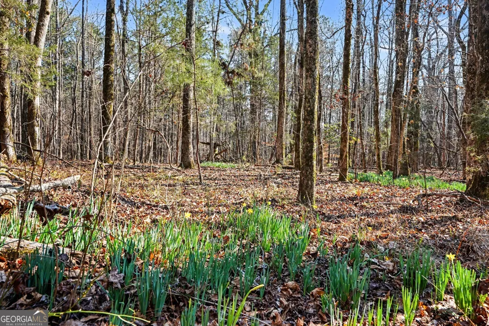 0 Vineyard RD Thomaston, GA 30286