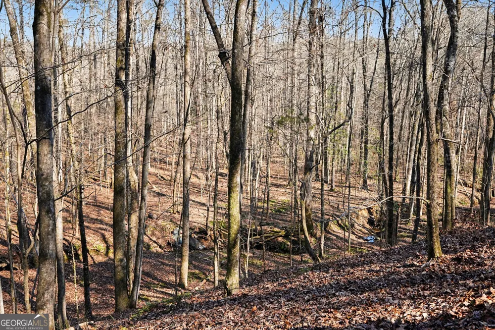0 Vineyard RD Thomaston, GA 30286