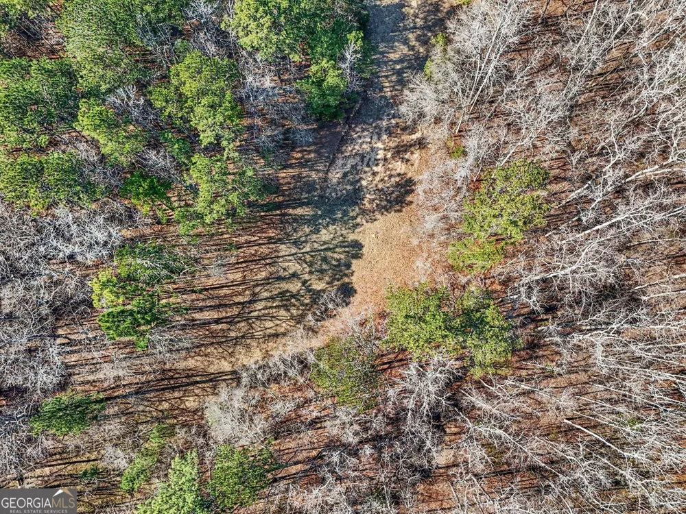 0 Vineyard RD Thomaston, GA 30286
