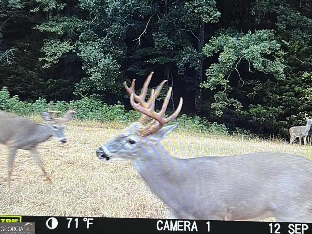 0 Vineyard RD Thomaston, GA 30286