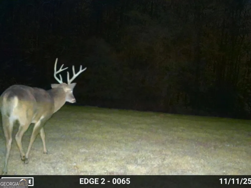 0 Vineyard RD Thomaston, GA 30286