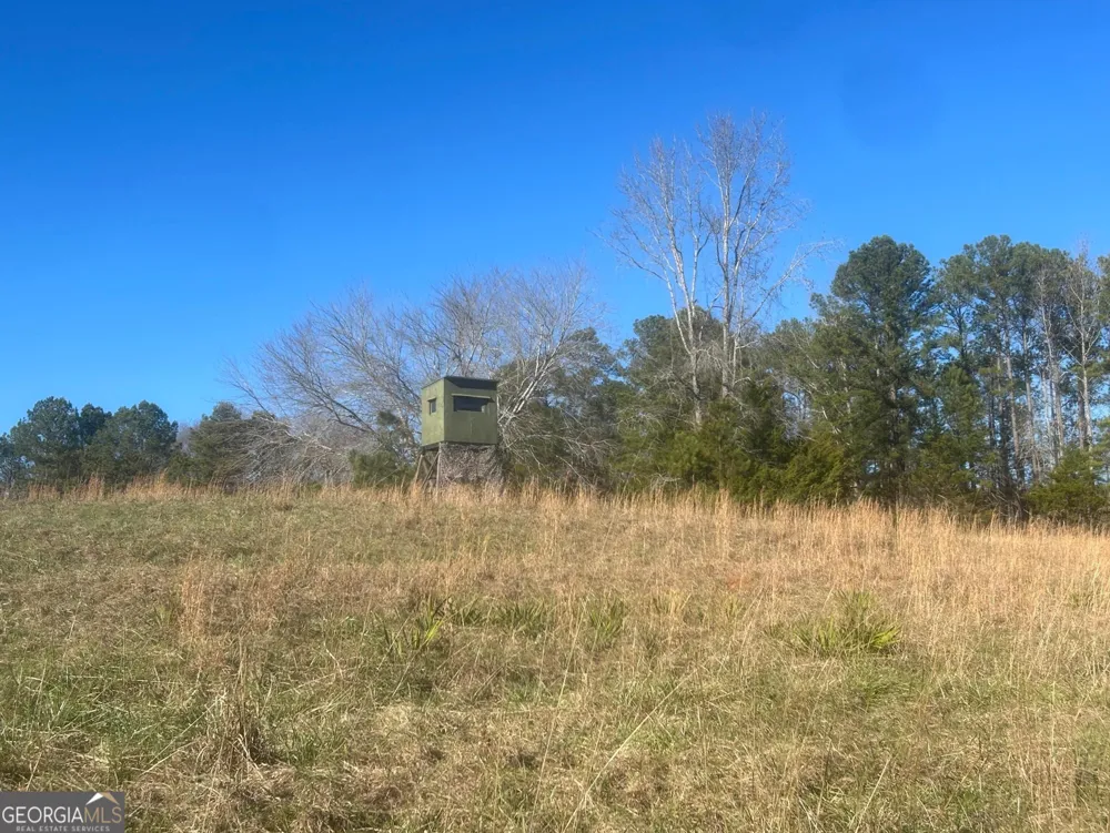 0 Vineyard RD Thomaston, GA 30286