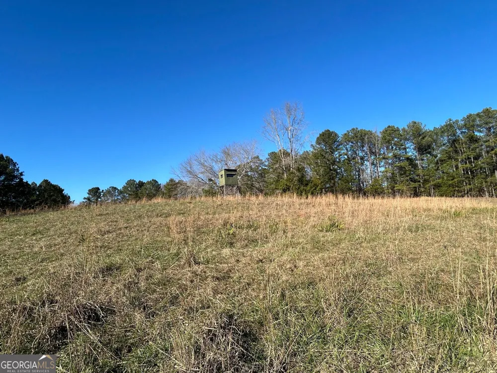 0 Vineyard RD Thomaston, GA 30286