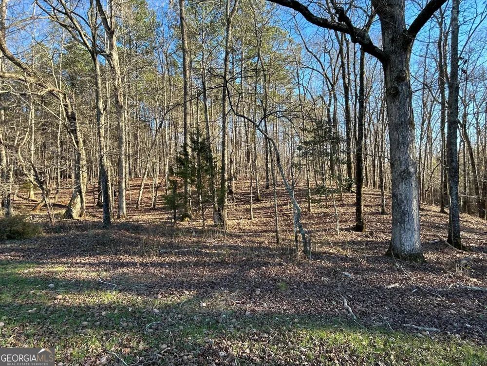 0 Vineyard RD Thomaston, GA 30286