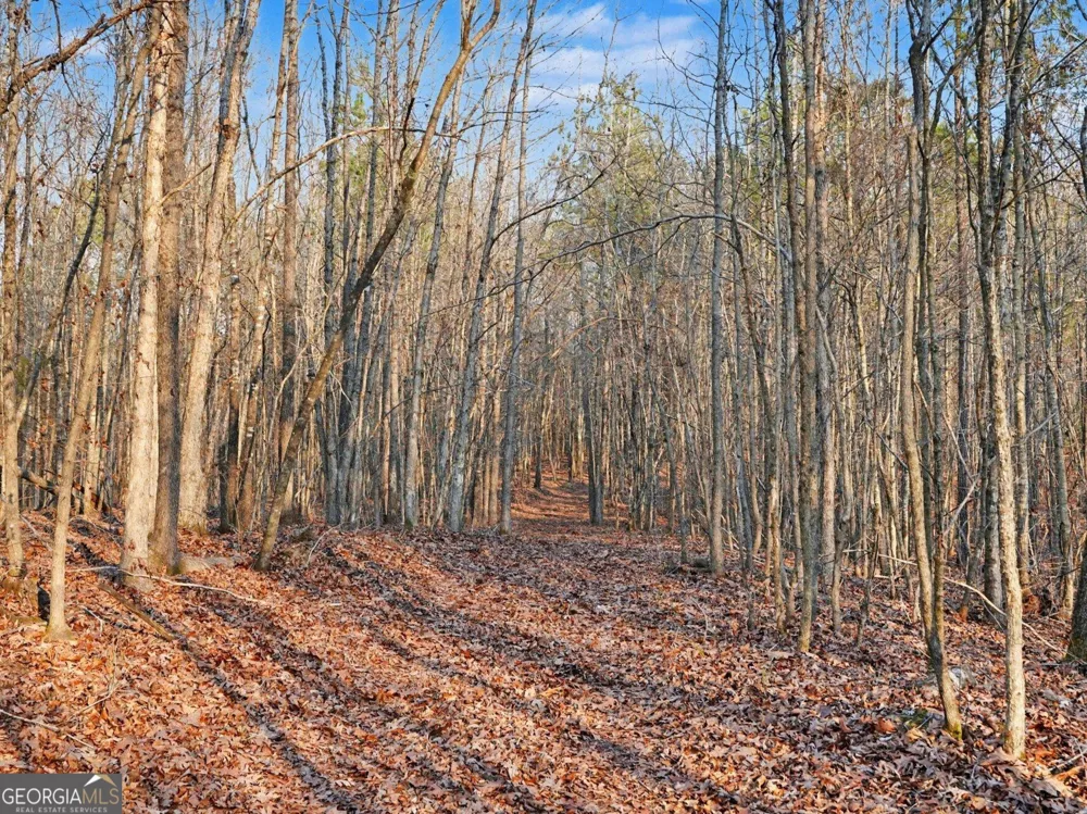 0 Logtown RD Thomaston, GA 30286