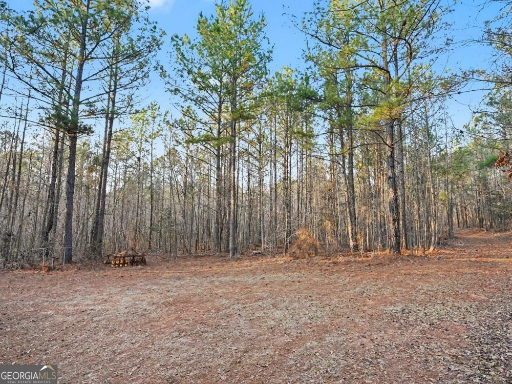 0 Logtown RD Thomaston, GA 30286
