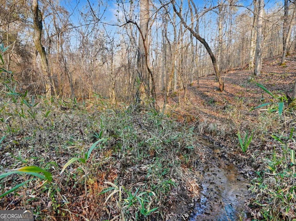 0 Logtown RD Thomaston, GA 30286