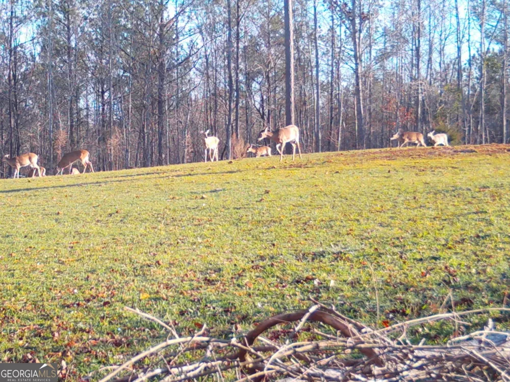0 Logtown RD Thomaston, GA 30286