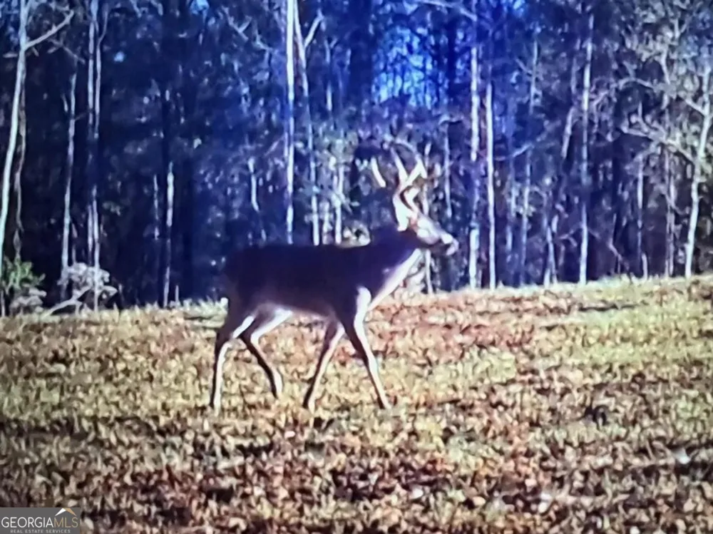 0 Logtown RD Thomaston, GA 30286