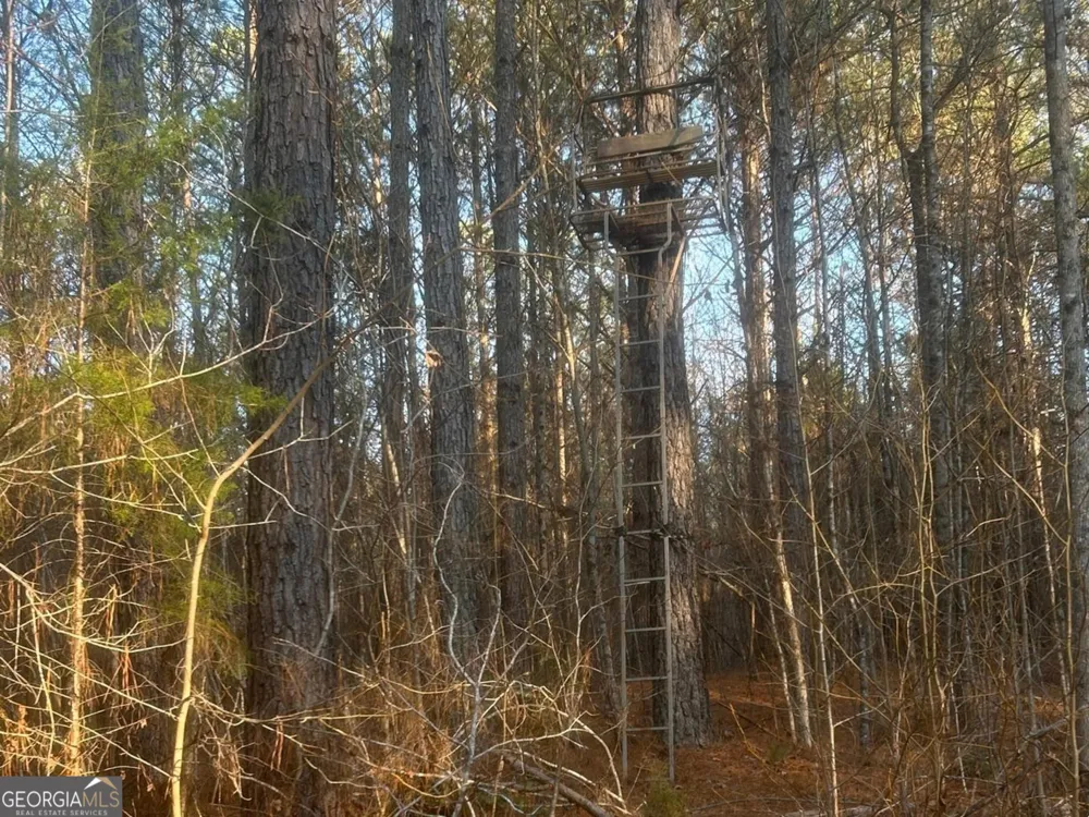 0 Logtown RD Thomaston, GA 30286