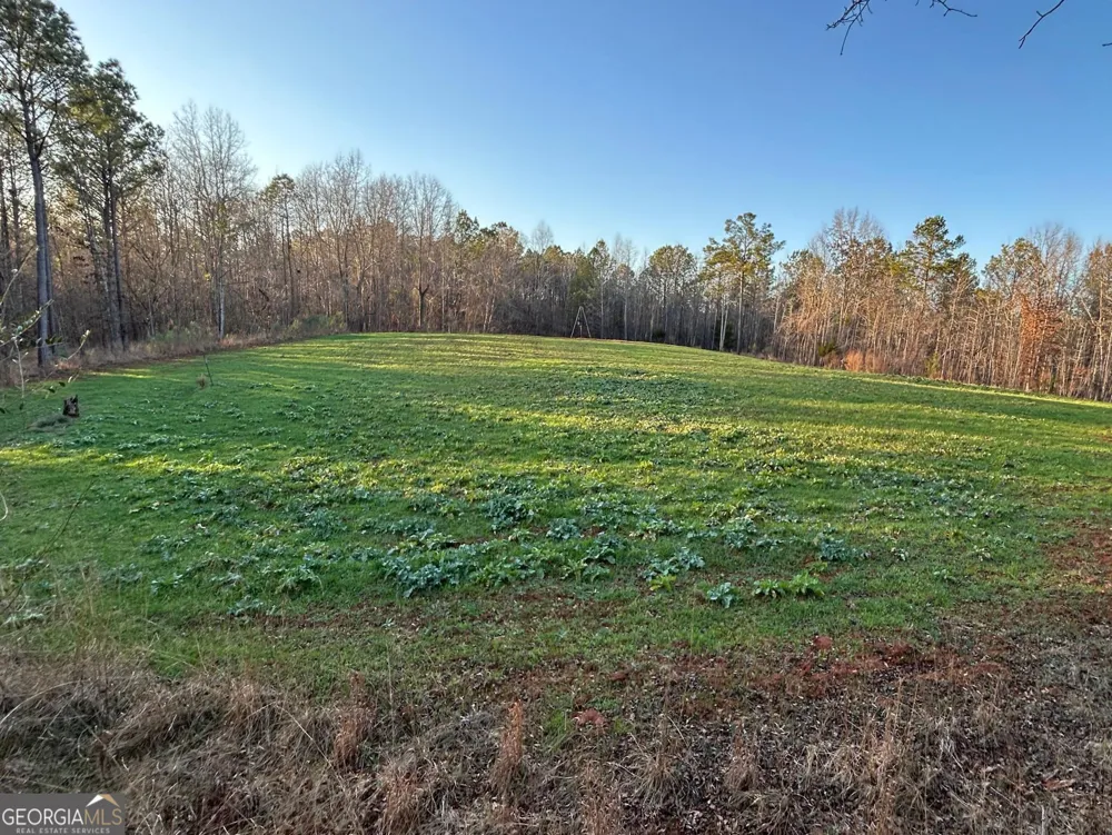 0 Logtown RD Thomaston, GA 30286