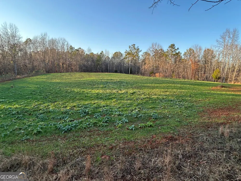 0 Logtown RD Thomaston, GA 30286