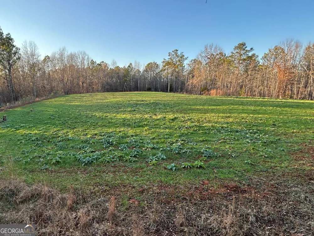 0 Logtown RD Thomaston, GA 30286