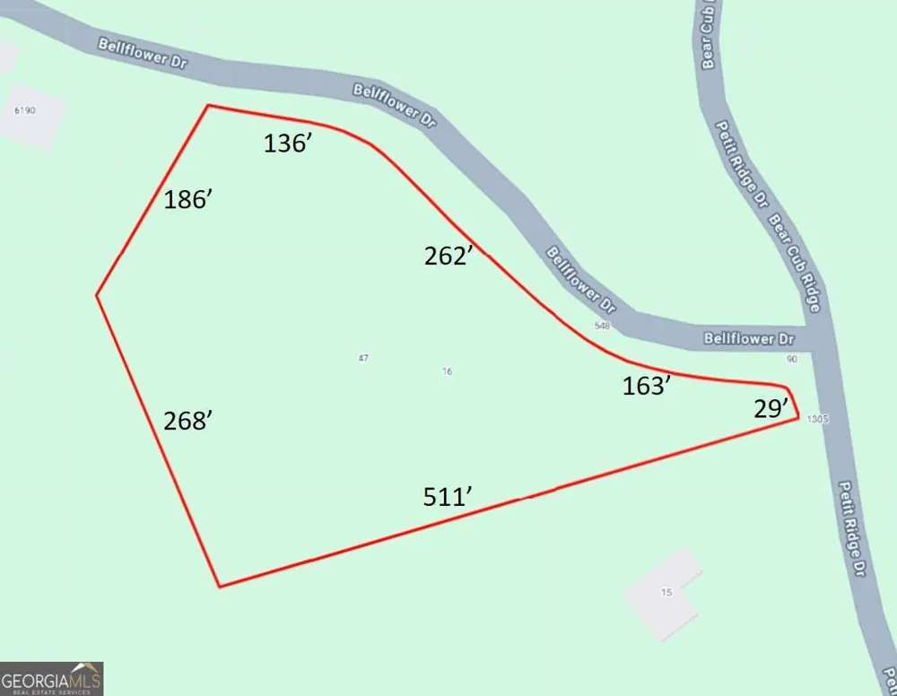 47 Bell Flower DR Jasper, GA 30143