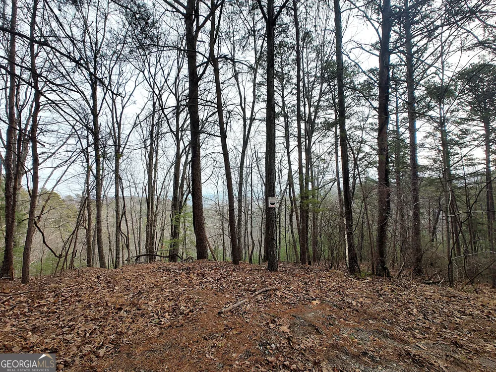 1036 Astro CT NE Ranger, GA 30734