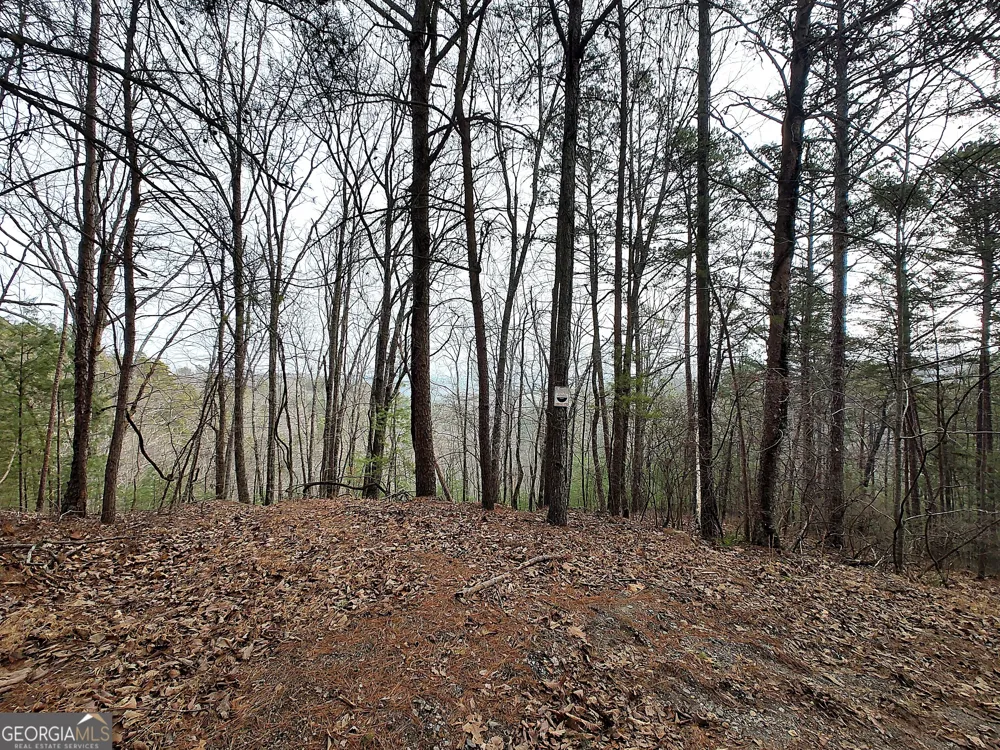 1036 Astro CT NE Ranger, GA 30734