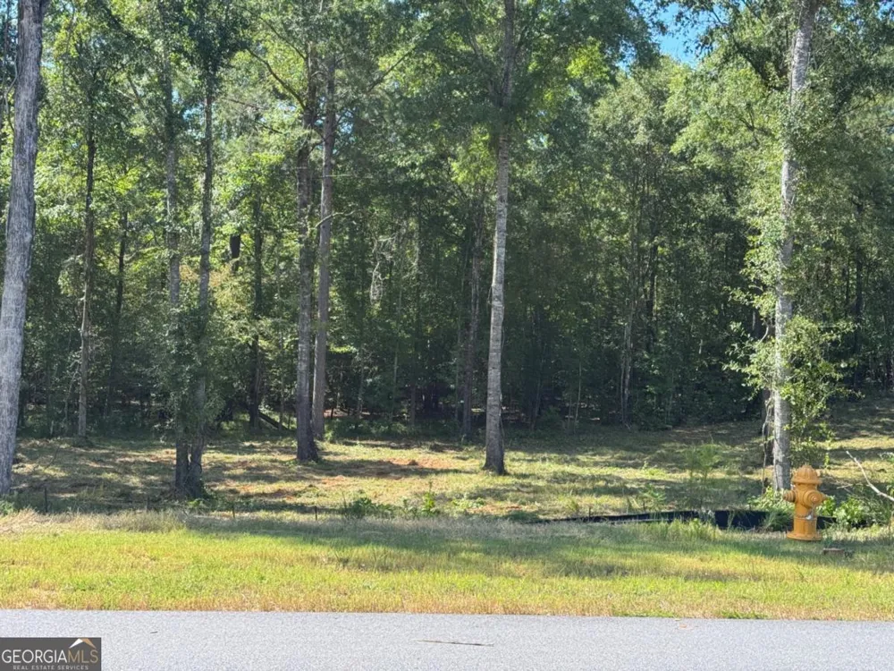 100 Falls LN Milledgeville, GA 31061
