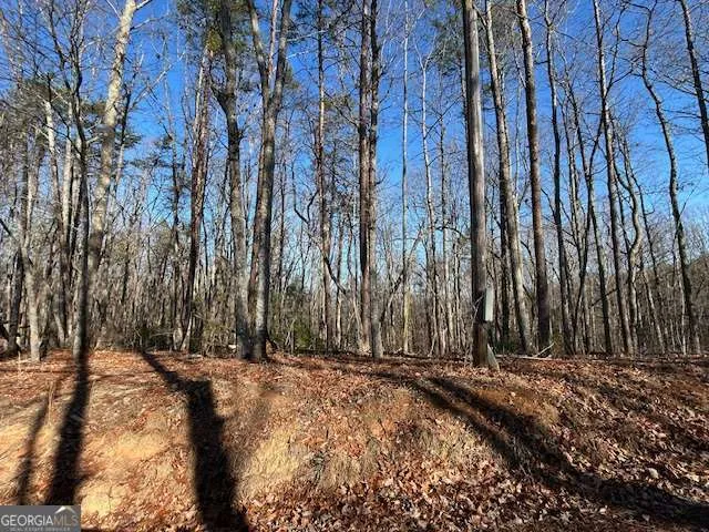440 Ridge RD Dawsonville, GA 30534