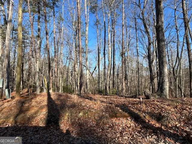 440 Ridge RD Dawsonville, GA 30534