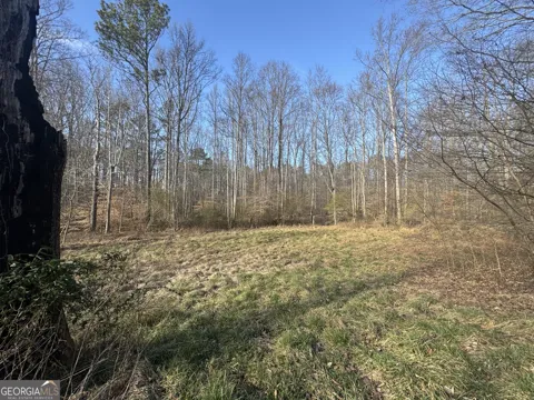 369 Thompson LN