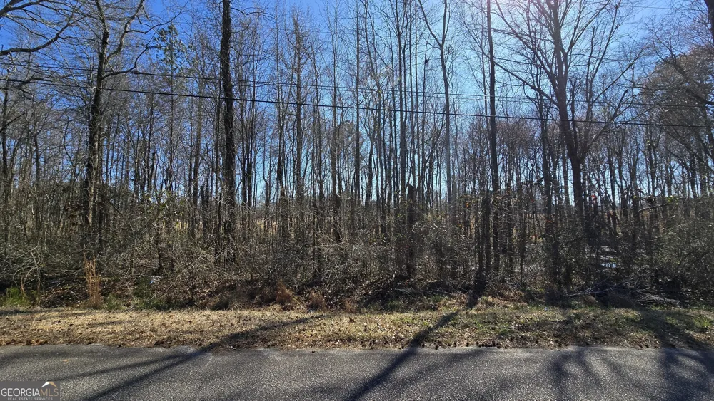 1110 Spring Creek CIR Griffin, GA 30223
