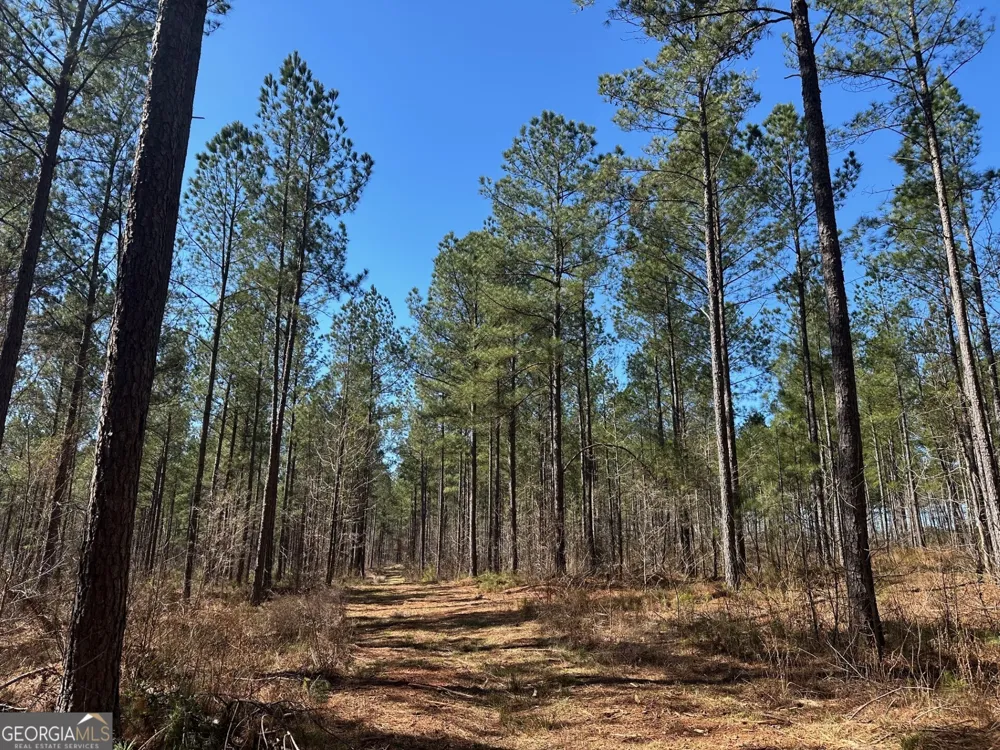 1500 Middlebrooks RD Watkinsville, GA 30677