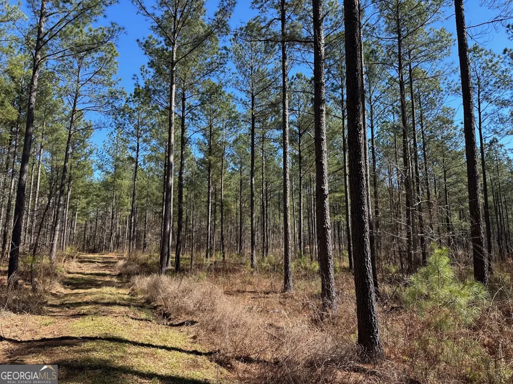 1500 Middlebrooks RD Watkinsville, GA 30677