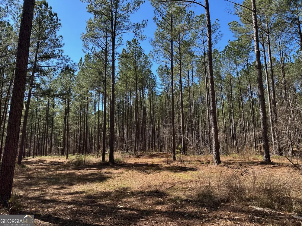 1500 Middlebrooks RD Watkinsville, GA 30677