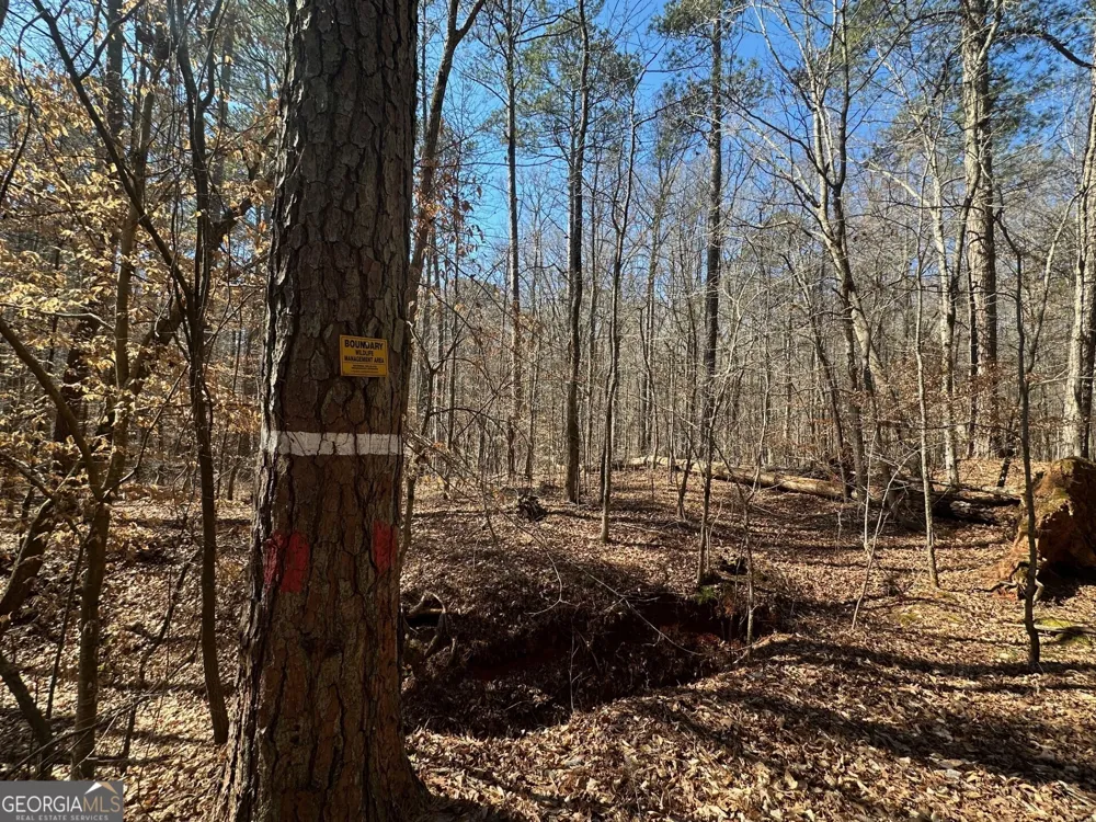 1500 Middlebrooks RD Watkinsville, GA 30677