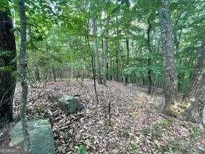 860 Cloudland TRCE