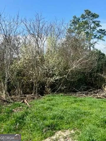 367 Pine ST Unadilla, GA 31091