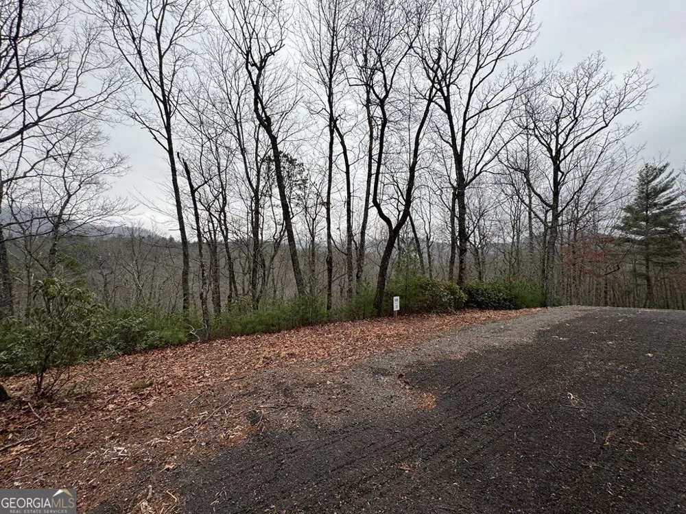 LOT 21 Whisper Ridge CT Hiawassee, GA 30546