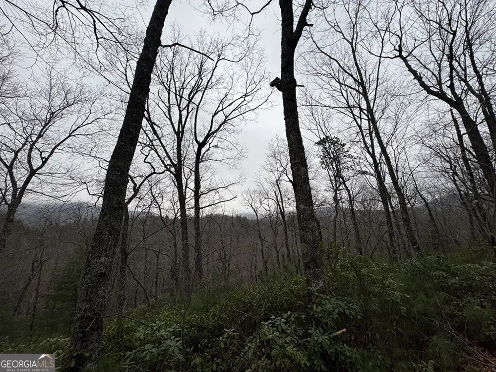 LOT 21 Whisper Ridge CT Hiawassee, GA 30546