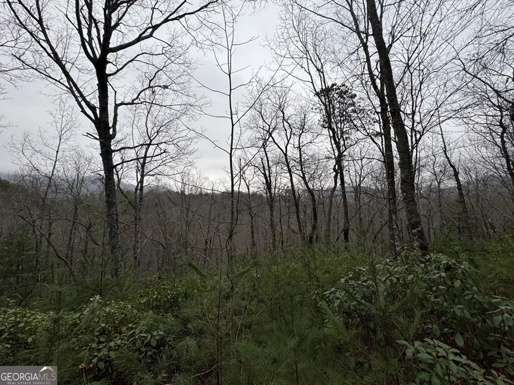 LOT 21 Whisper Ridge CT Hiawassee, GA 30546