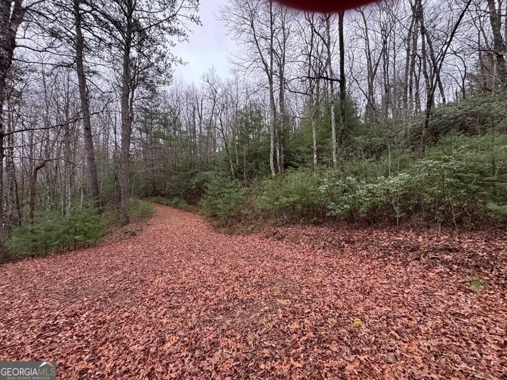 LOT 21 Whisper Ridge CT Hiawassee, GA 30546